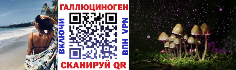 закладки  Городец  Псилоцибиновые грибы Psilocybe 