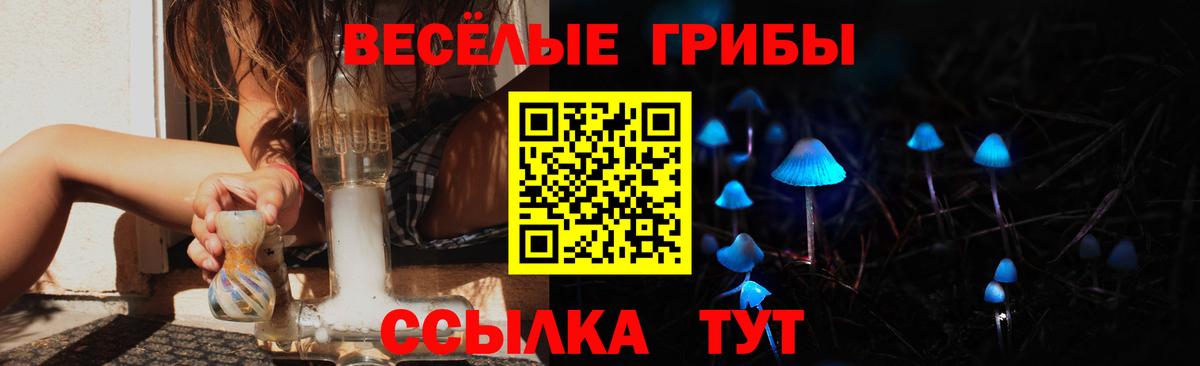 Галлюциногенные грибы Cubensis Городец